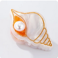 bébé barrette coquillage
