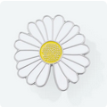 pins marguerite